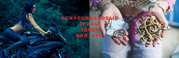 эйфоретик Богородицк