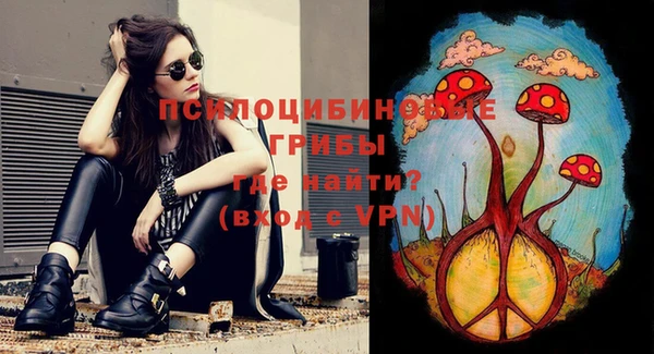 эйфоретик Богородицк