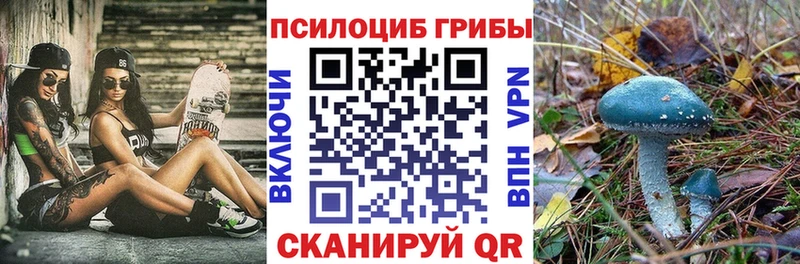 Псилоцибиновые грибы Psilocybine cubensis  kraken как войти  Кировск 