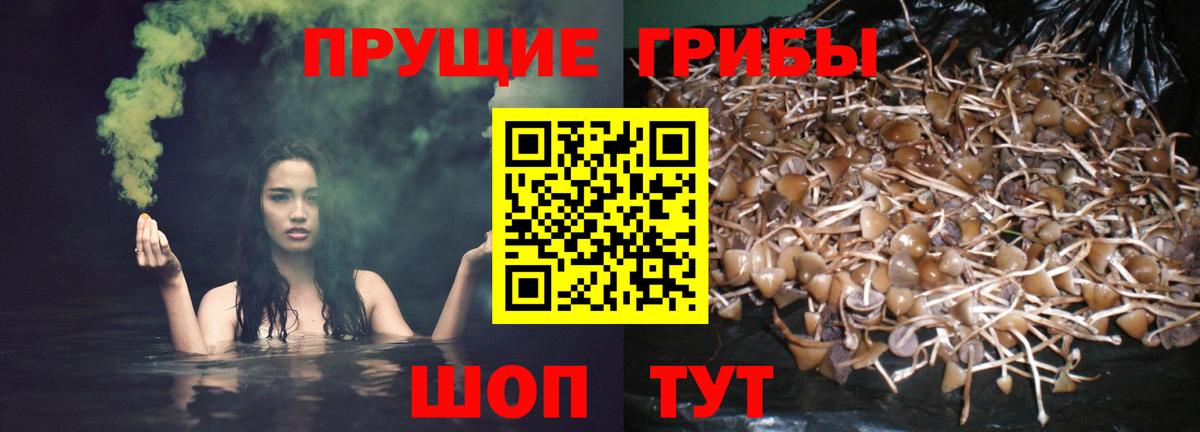 Псилоцибиновые грибы MAGIC MUSHROOMS Кировск