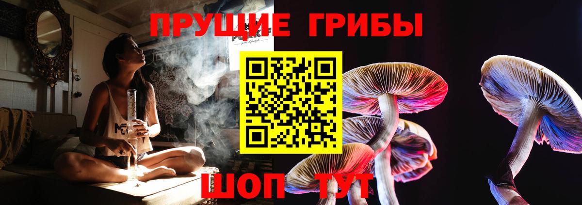 купить наркотики сайты  Псилоцибиновые грибы Cubensis  Вход с VPN  Кировск  Галлюциногенные грибы Psilocybine cubensis 