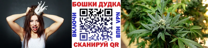 Шишки марихуана марихуана  Кировск 